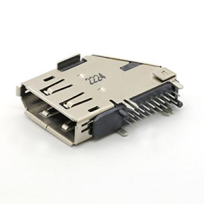 20Pin Dip Type Upright Display Port External Female Connector