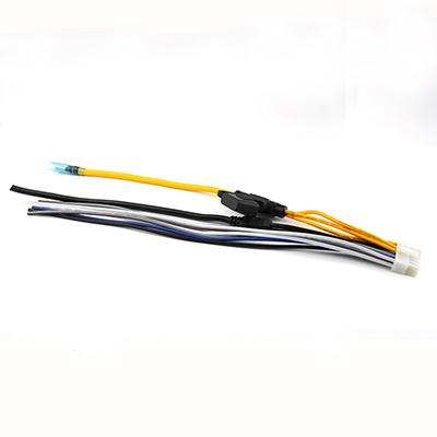 Custom Electric Wire Harness 4.2MM Pitch Molex 5557 12Pin Wiring Harness